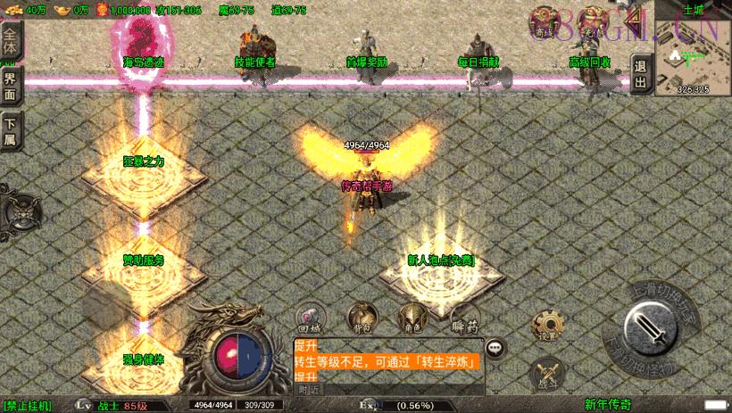 1.80纵横天下热血冰龙耐玩版[白猪3.0]