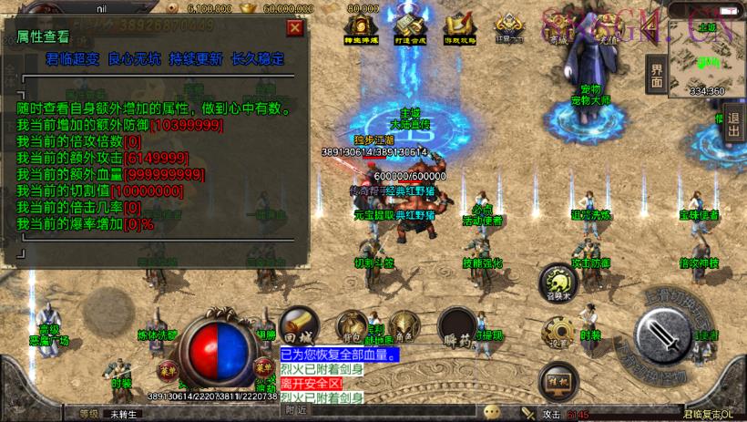 独家-君临冰雪单职业18大陆版[白猪3]