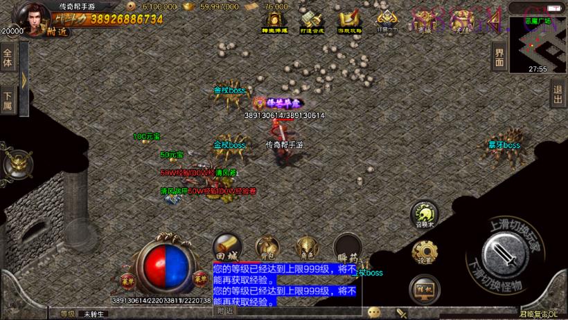 独家-君临冰雪单职业18大陆版[白猪3]